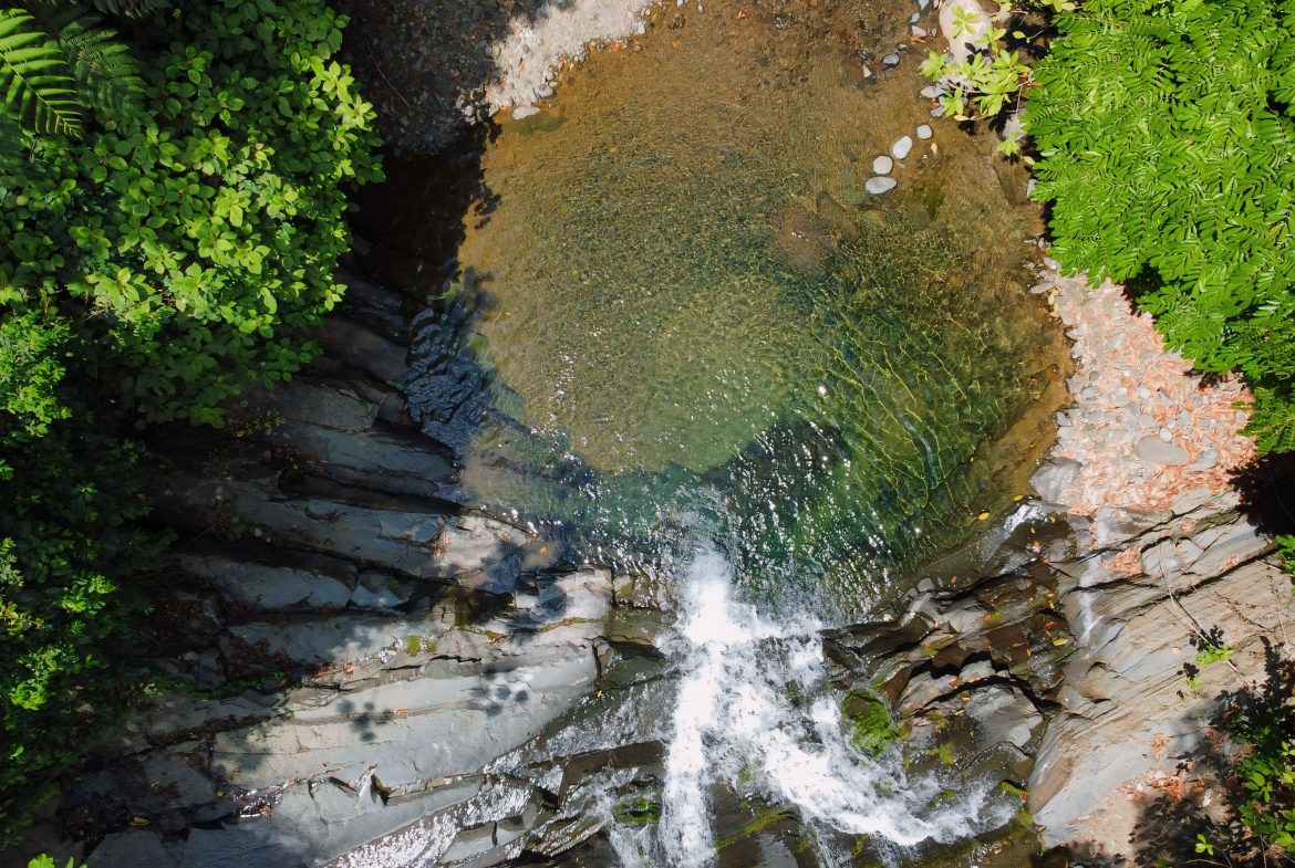 JUNGLE DREAMS FARM: WHERE NATURE MEETS SERENITY – 20 ACRES